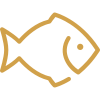 icons8-fish-100