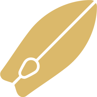 Asset 14