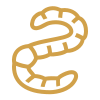 icons8-earthworm-100