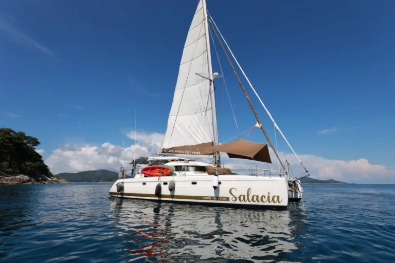 Salacia_092906000_iOS