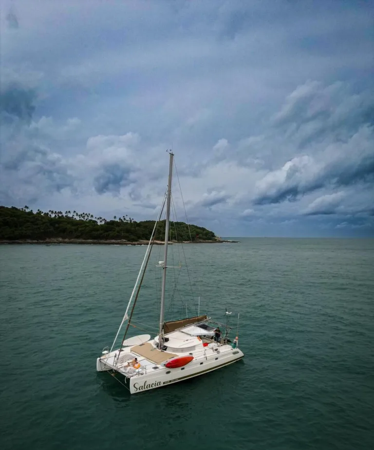 Salacia_093123000_iOS-e1778045689865