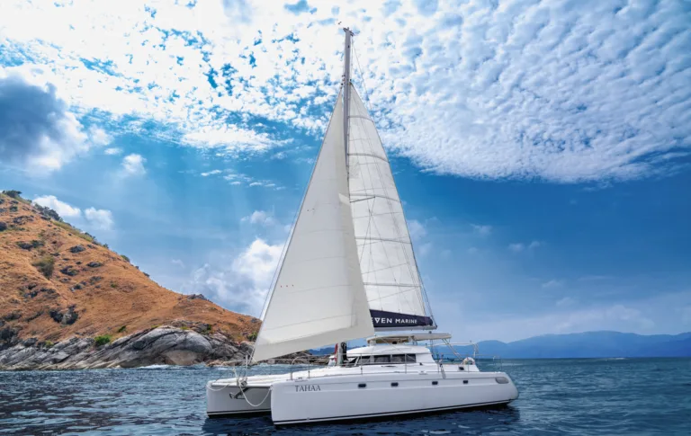 TAHAA-2-NON-LOGO-scaled-e1778123678849