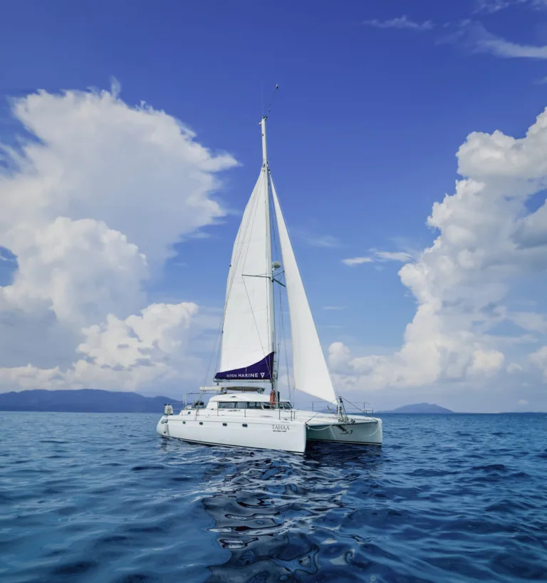 TAHAA-4-NON-LOGO2-scaled-e1778123584807