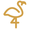 icons8-flamingo-100